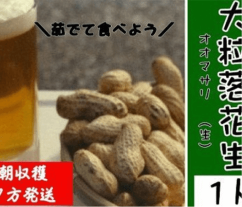 【訳あり】有機(オーガニック) イタリア品種バジル 「イタリアンクラシコ」100g